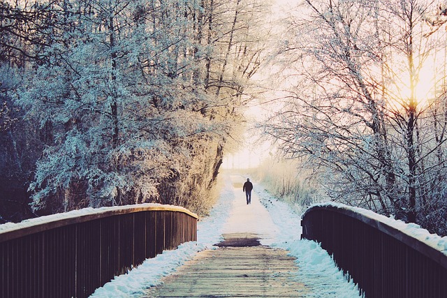 男人 桥 孤独 - 上的免费照片