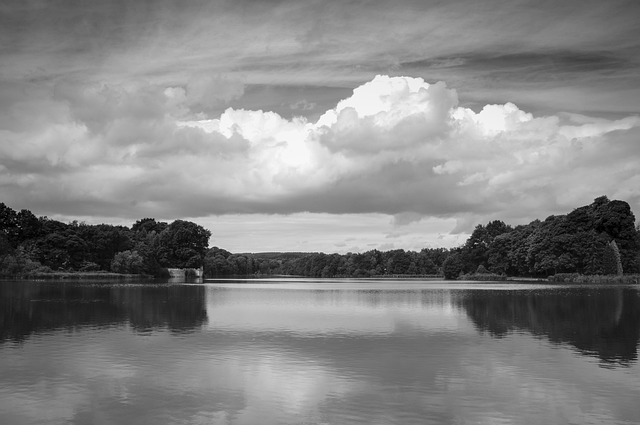 纽斯特德修道院 湖 修道院 - 上的免费照片