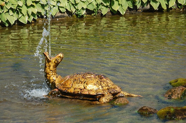金子 龟 喷泉 - 上的免费照片