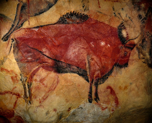野牛 阿尔塔米拉洞穴 史前艺术 - 上的免费照片