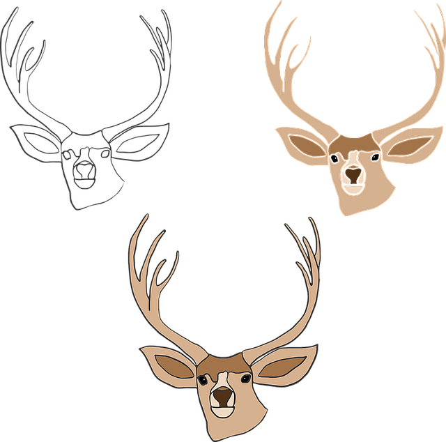 鹿 大纲 绘 - 免费矢量图形