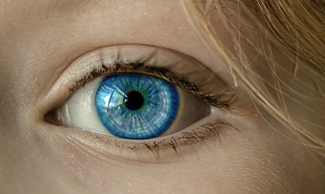 眼睛 蓝眼 虹膜 - 上的免费照片