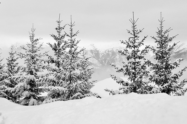 雪 阿尔卑斯山 上萨瓦 - 上的免费照片