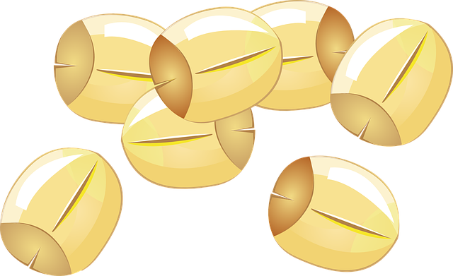 莲子 种子 - 免费矢量图形