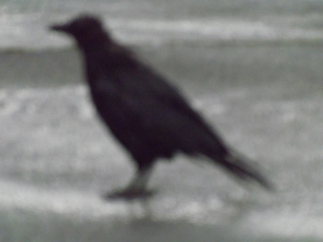 不清晰 坏的 更差 - 上的免费照片