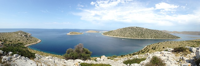 他是 降低 石油 - 上的免费照片