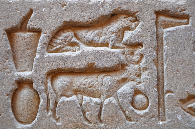 埃及 寺庙 象形文字 - 上的免费照片