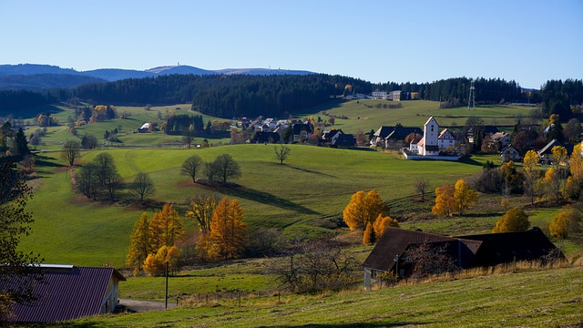 黑森林 Feldberg 外表 - 上的免费照片
