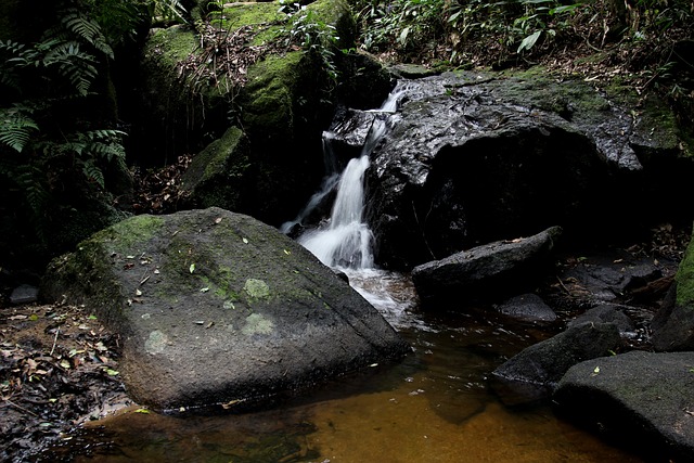 水缓缓落下 慢动作 摄影技术 - 上的免费照片