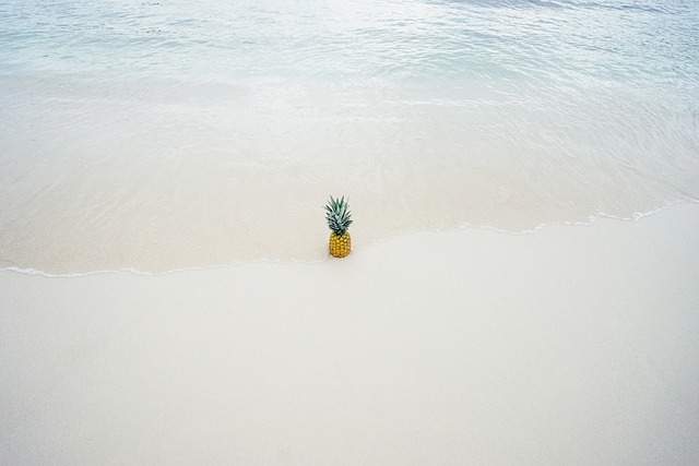 菠萝 成熟 水 - 上的免费照片