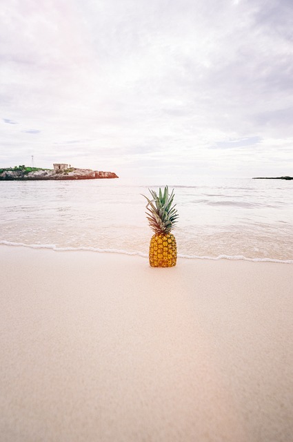 菠萝 海滩 沙 - 上的免费照片