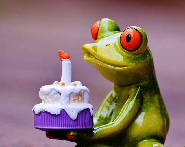 生日快乐 出生日期 青蛙 - 上的免费照片