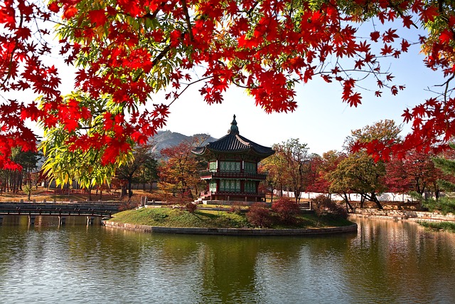 香园 景福宫 文化遗产 - 上的免费照片