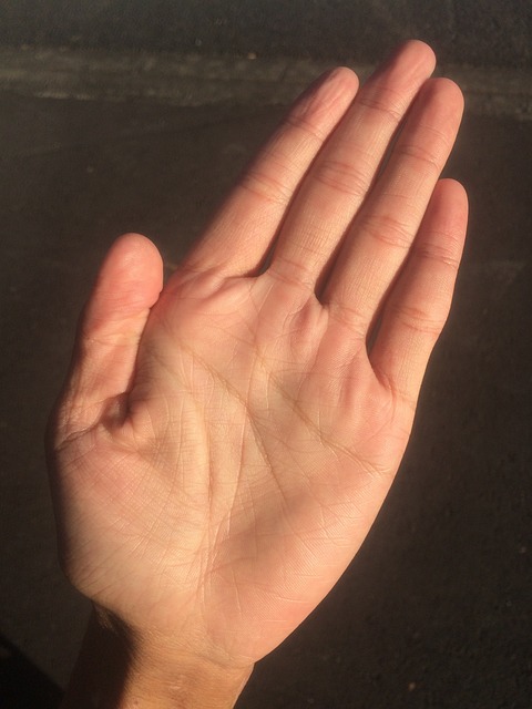 棕榈 手 手指 - 上的免费照片