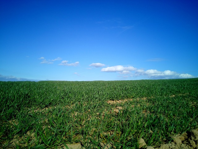 场地 景观 拉里奥哈 - 上的免费照片
