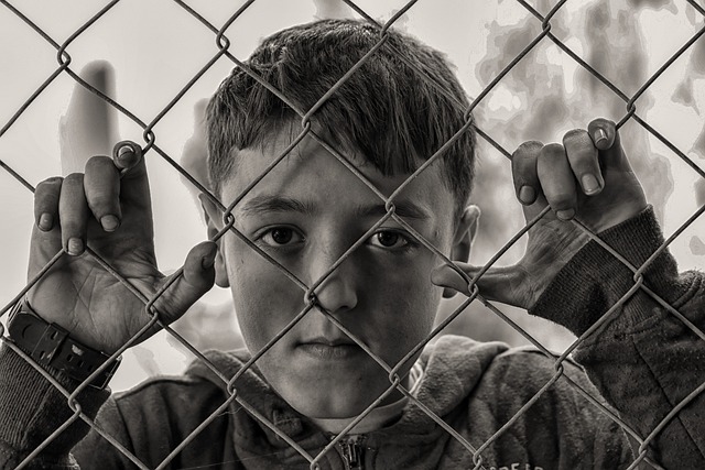 男孩 栅栏 贫困 - 上的免费照片