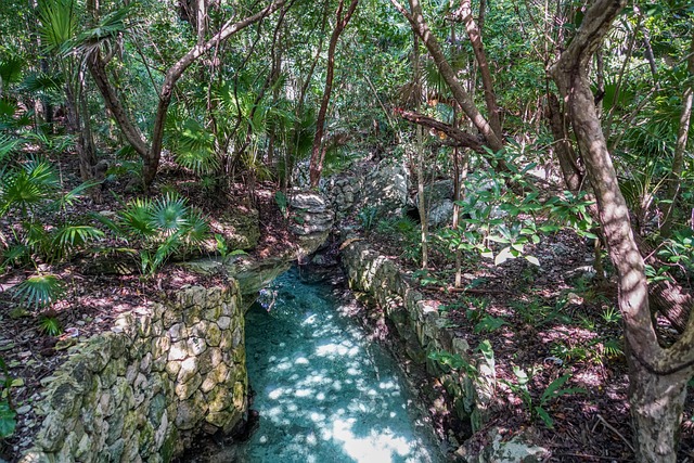 Xcaret 坎昆 墨西哥 - 上的免费照片