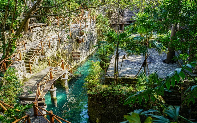 Xcaret 坎昆 墨西哥 - 上的免费照片