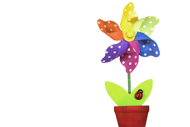 花 丰富多彩的 蓝色的 - 上的免费照片