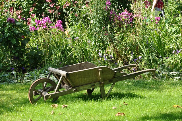 独轮车 花园 菜园 - 上的免费照片