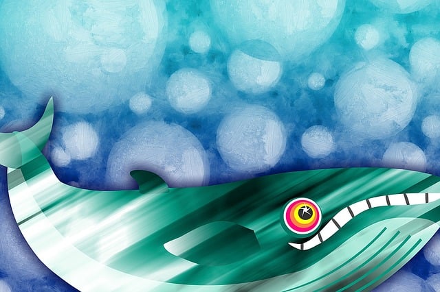 动物 野生动物 荒野 - 上的免费图片