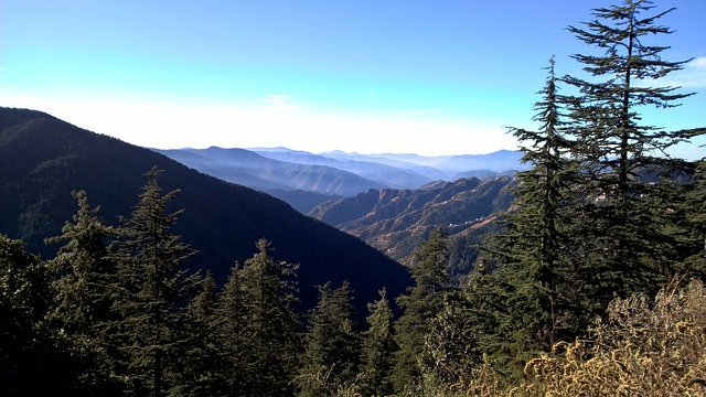 库弗里 山 - 上的免费照片