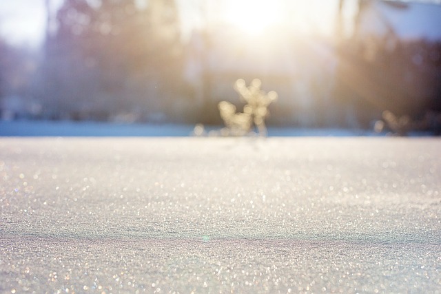 雪 原野 阳光 - 上的免费照片
