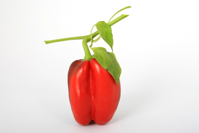灯笼椒 红色的 蔬菜 - 上的免费照片
