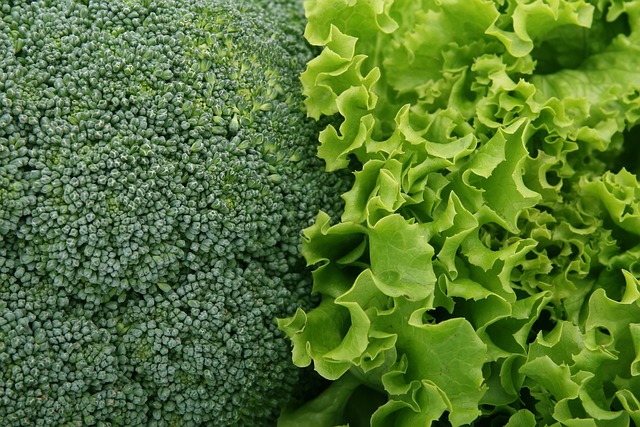 西兰花 生菜 蔬菜 - 上的免费照片