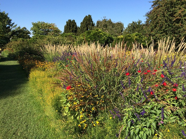 公园 Weinheim 花 - 上的免费照片