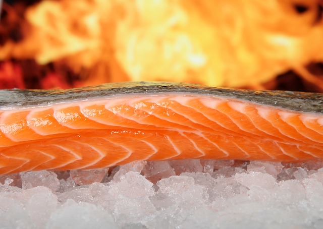 三文鱼 鱼 食物 - 上的免费照片