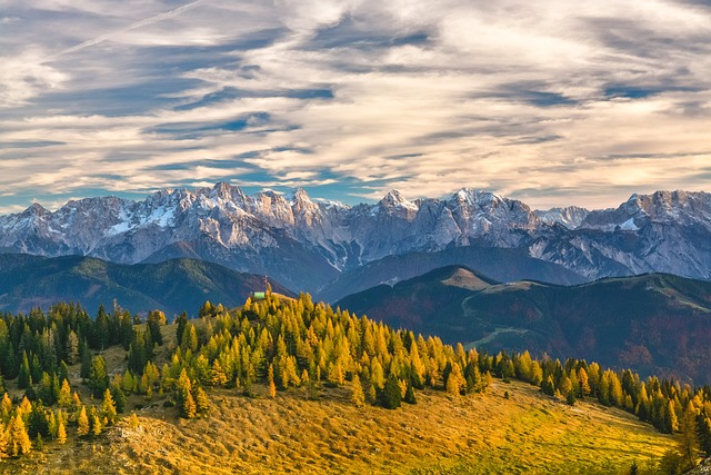 山 阿尔卑斯山 树木 - 上的免费照片