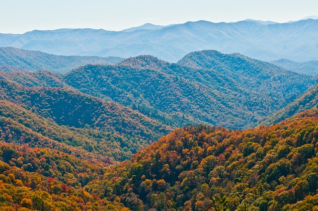 户外 公园 景观 - 上的免费照片