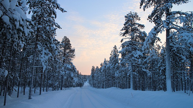 雪路 冬天 林道 - 上的免费照片