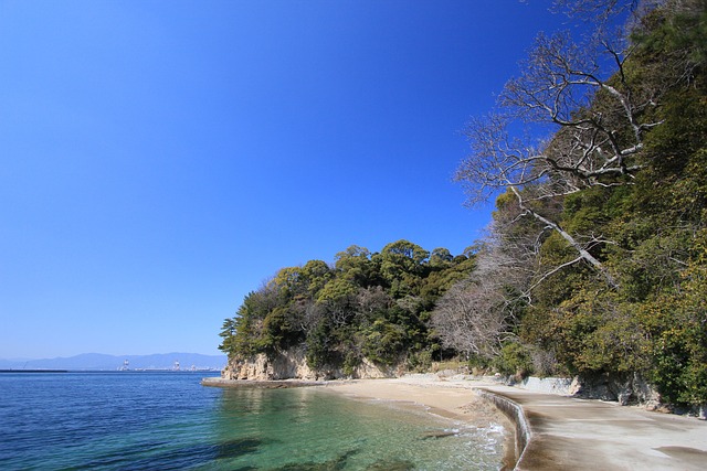 海 蓝天 海岸 - 上的免费照片