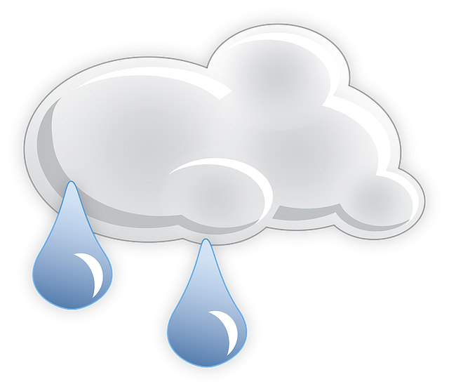 小雨 雨 天气图标 - 免费矢量图形