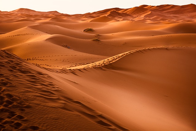 沙漠 沙丘 干燥 - 上的免费照片