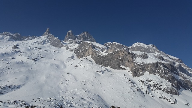 玻璃疣 阿尔卑斯山 山 - 上的免费照片