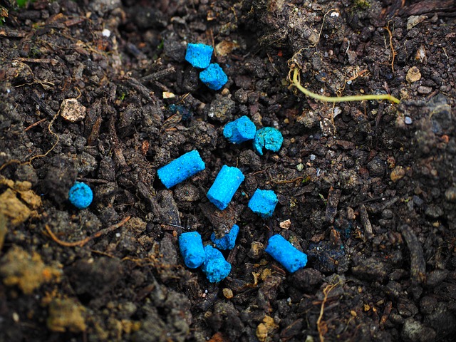 蜗牛毒 花斑 蓝色的 - 上的免费照片