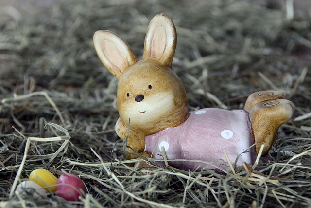 复活节兔子 兔子 复活节 - 上的免费照片