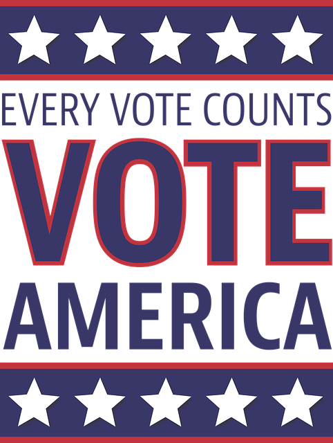 投票 通用的 2016年美国 - 免费矢量图形