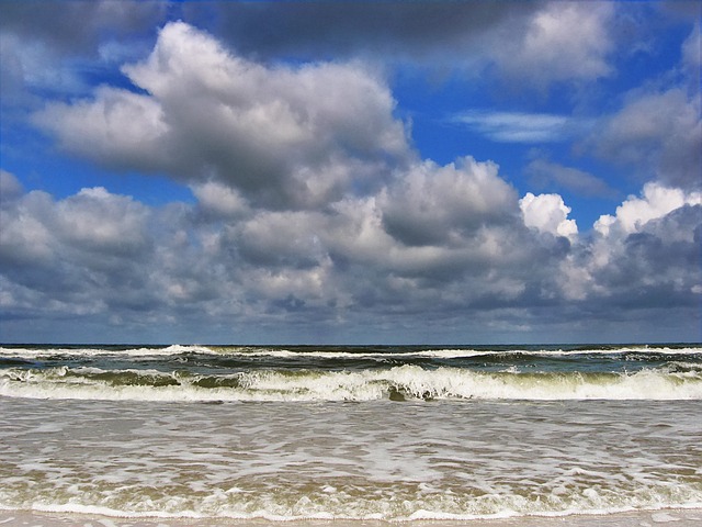 波罗的海 海 海滩 - 上的免费照片