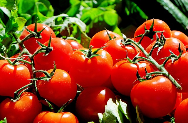 番茄 水果 食物 - 上的免费照片