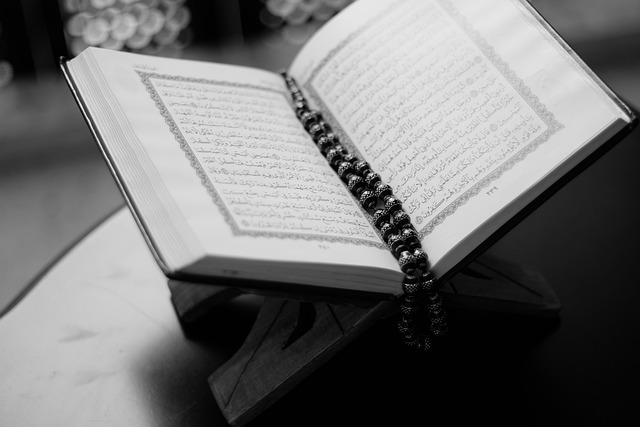 书 古兰经 打开 - 上的免费照片