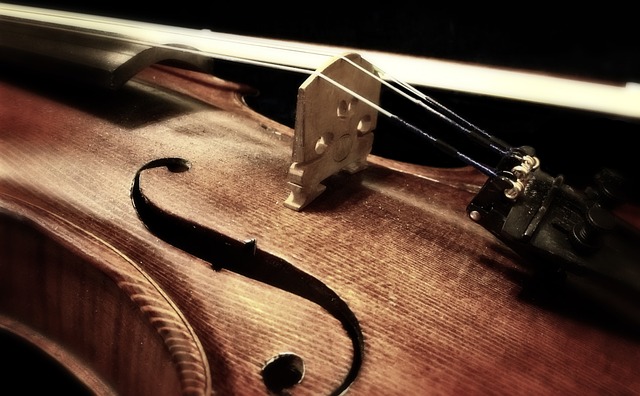 音乐 小提琴 乐器 - 上的免费照片