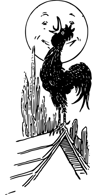 动物 鸟 黑色的 - 免费矢量图形