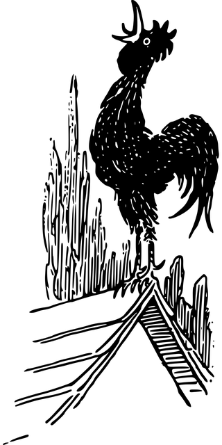 动物 鸟 黑色的 - 免费矢量图形