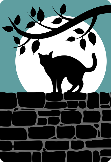 动物 黑猫 猫 - 免费矢量图形