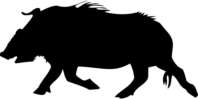 动物 兽 公猪 - 免费矢量图形