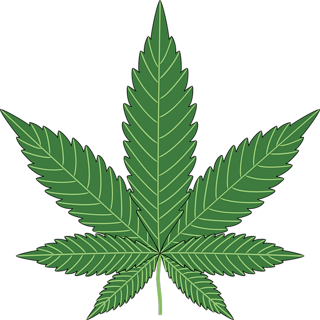 烘烤 大麻 麻 - 免费矢量图形